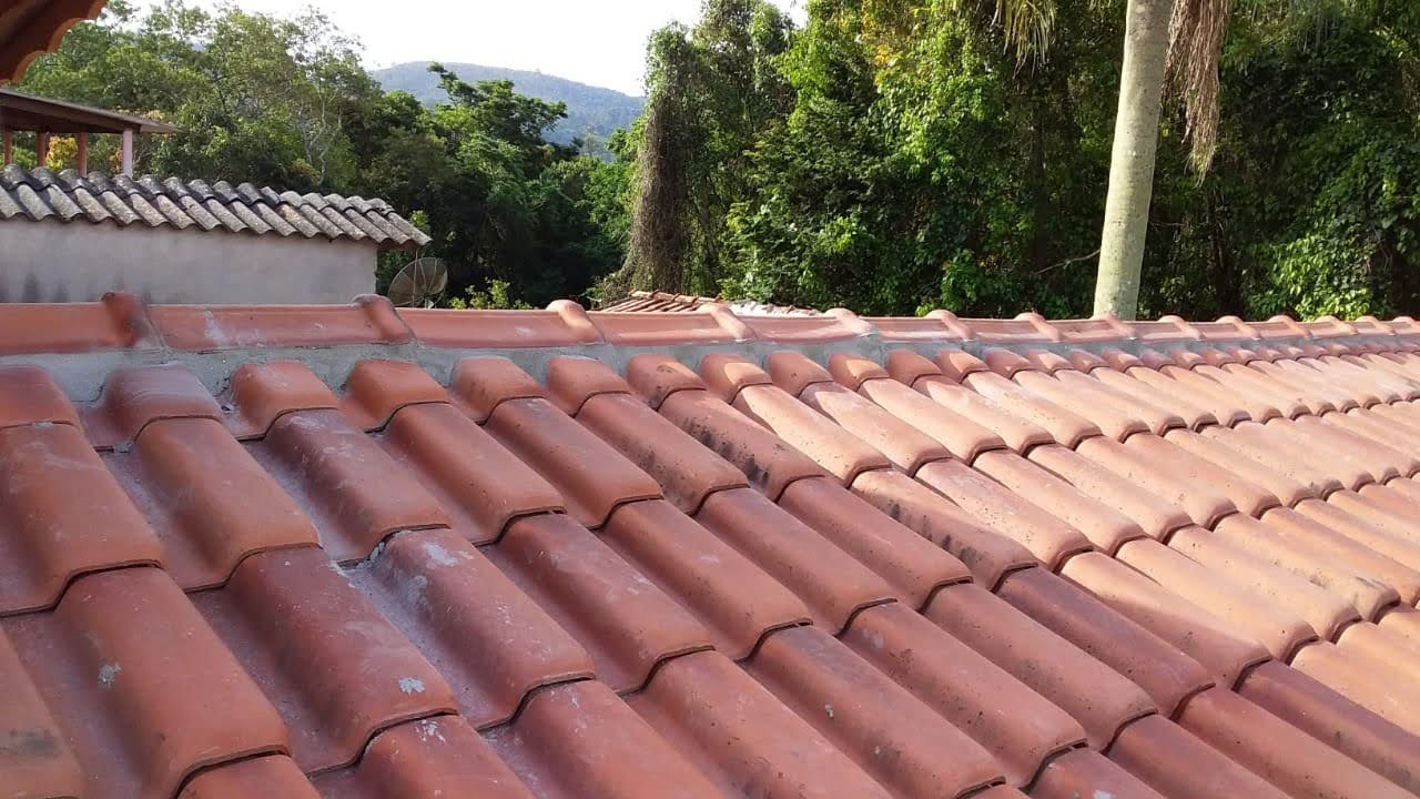 Tipos de telhas: qual é a melhor opção para sua casa ou comércio?
